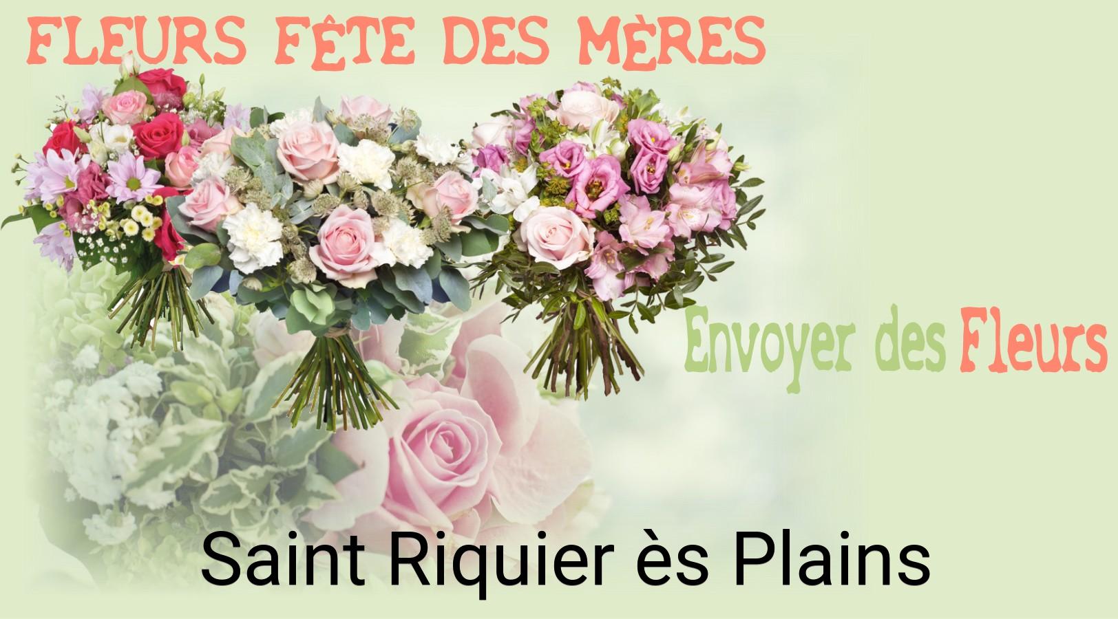 Bouquet de Fête des Mères livré à Saint-Riquier-ès-Plains